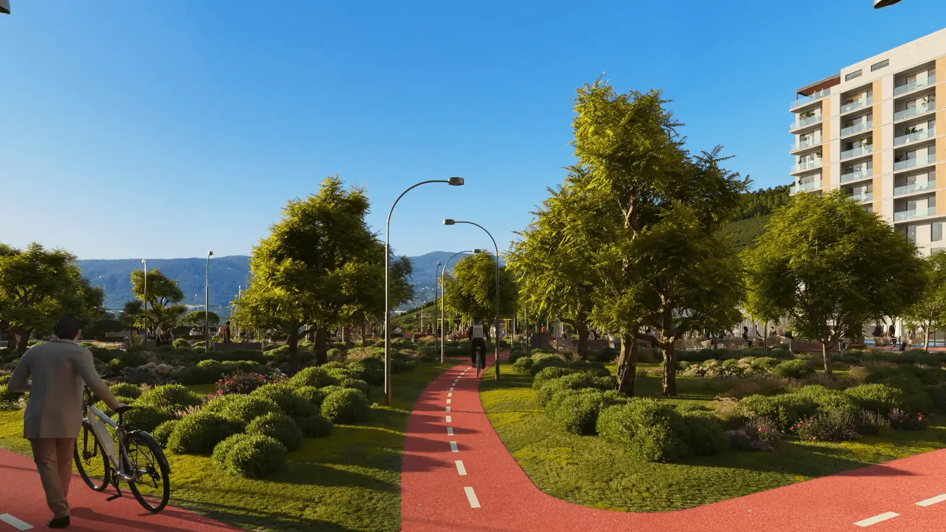 სასეირნო და ველობილიკები